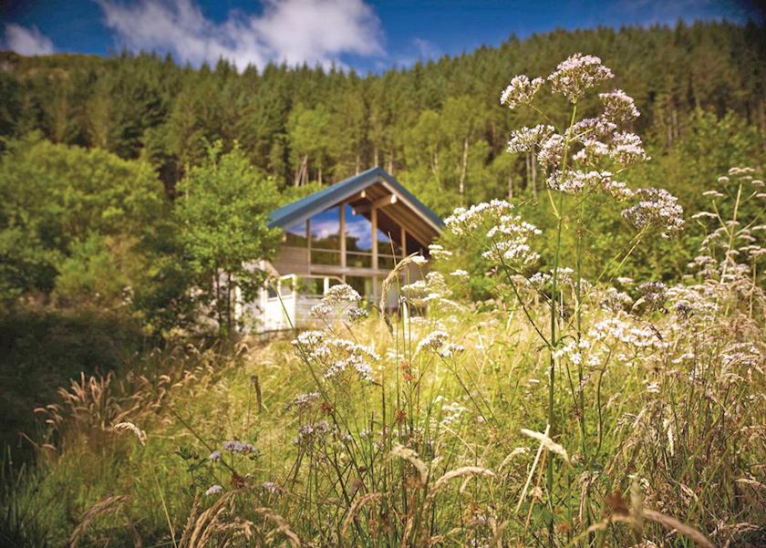 Strathyre Forest